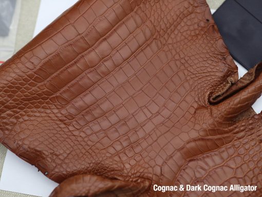 Cognac & Dark Cognac Alligator