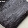Dark Brown Alligator 1