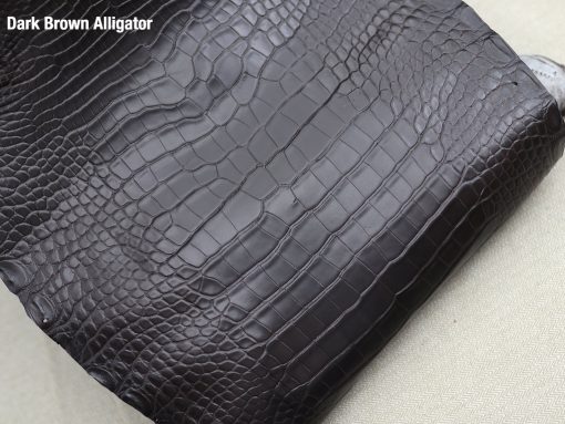 Dark Brown Alligator 1