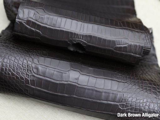 Dark Brown Alligator