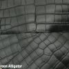 Dark Green Alligator 1