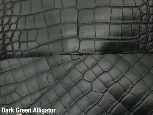Dark Green Alligator 1