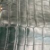 Dark Green Alligator 2