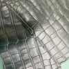 Dark Green Alligator 3