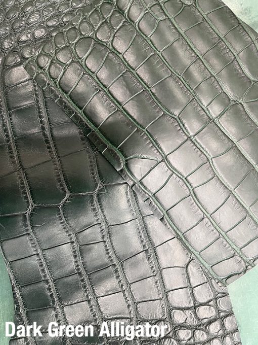Dark Green Alligator 3