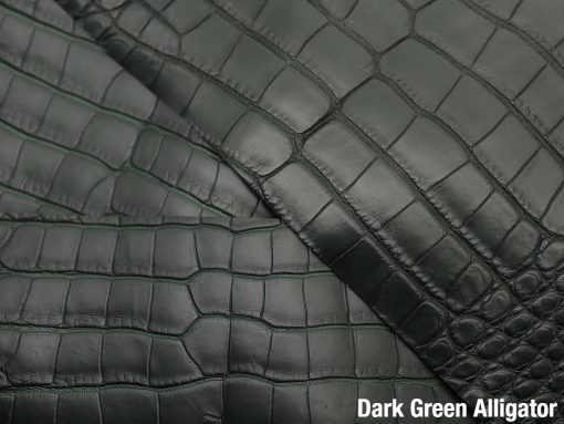 Dark Green Alligator