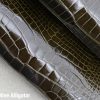 Dark Olive Alligator 1