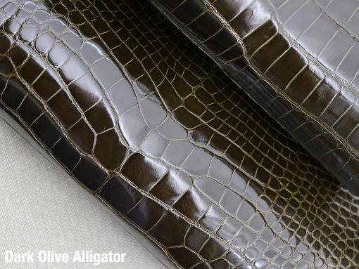 Dark Olive Alligator 1