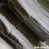 Dark Olive Alligator