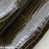 Dark Olive Alligator 2