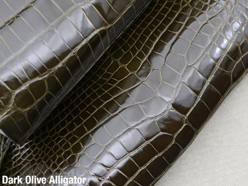 Dark Olive Alligator 2