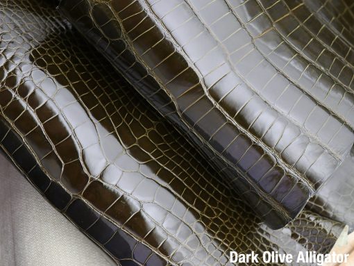Dark Olive Alligator