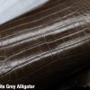 Graphite Grey Alligator 1