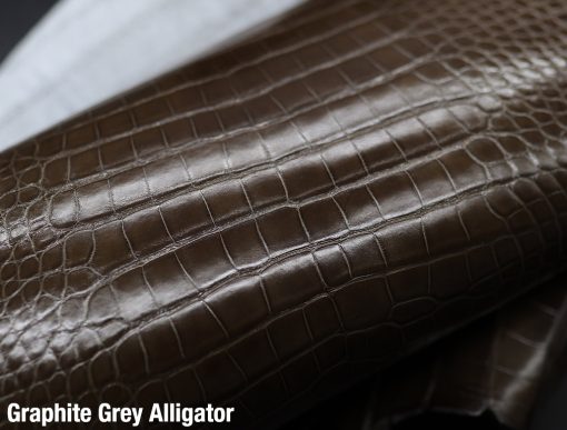 Graphite Grey Alligator 1