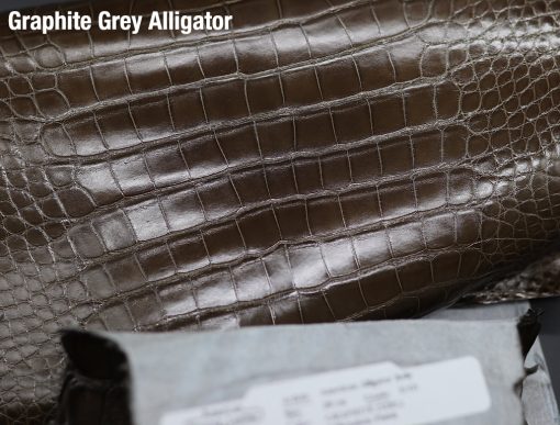 Graphite Grey Alligator