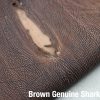 Grey & Brown Genuine Shark 2