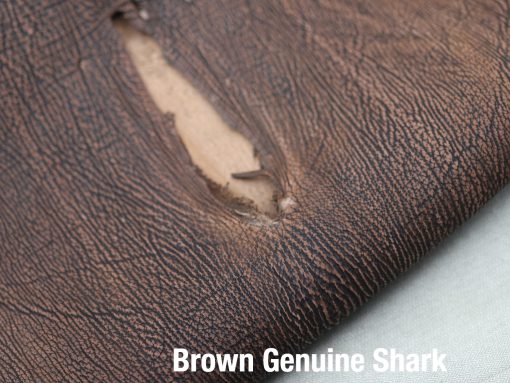 Grey & Brown Genuine Shark 2