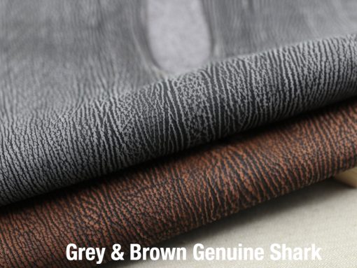 Grey & Brown Genuine Shark 3