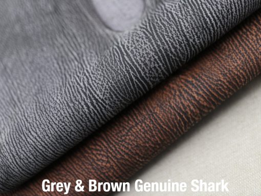 Grey & Brown Genuine Shark