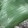 Light Green Alligator 1