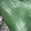 Light Green Alligator