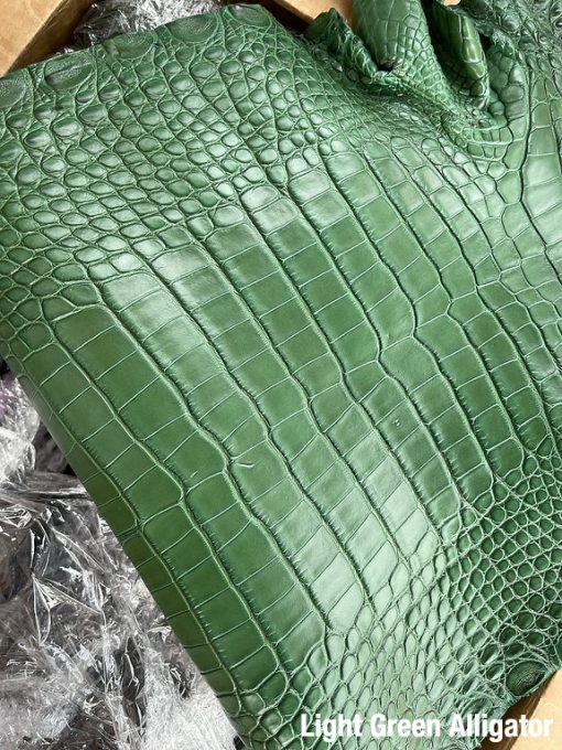 Light Green Alligator