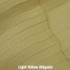 Light Yellow Alligator 1