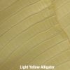 Light Yellow Alligator