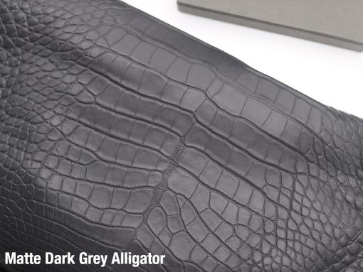 Matte Dark Grey Alligator 1