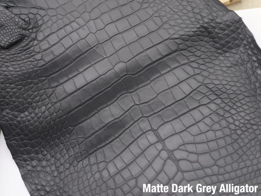 Matte Dark Grey Alligator