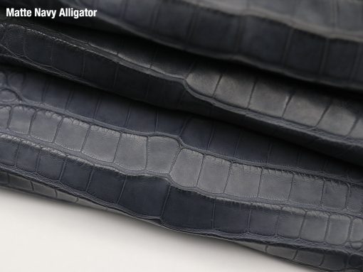 Matte Navy Alligator 2