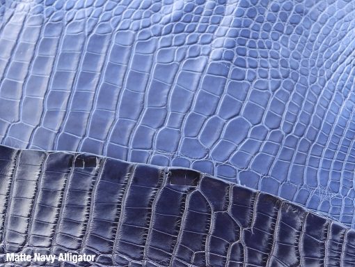 Matte Navy Alligator 3