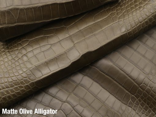 Matte Olive Alligator 1