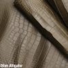 Matte Olive Alligator