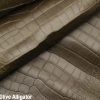 Matte Olive Alligator 2