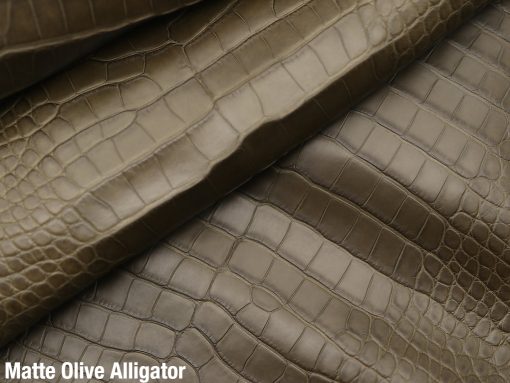 Matte Olive Alligator 2