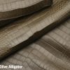 Matte Olive Alligator 3