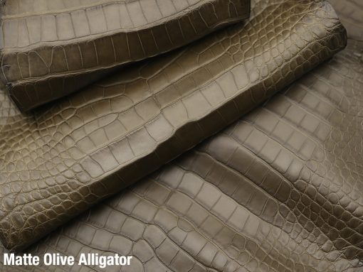 Matte Olive Alligator 3