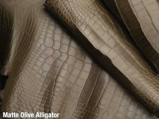 Matte Olive Alligator