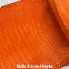Matte Orange Alligator 1
