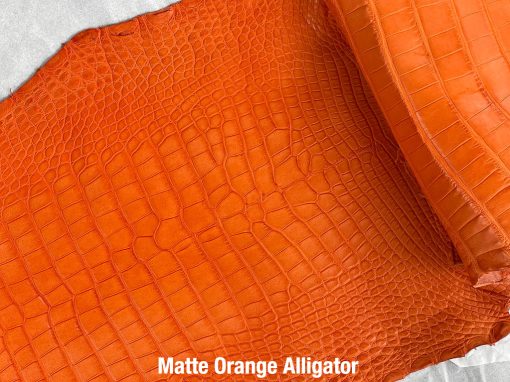 Matte Orange Alligator 1