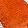 Matte Orange Alligator