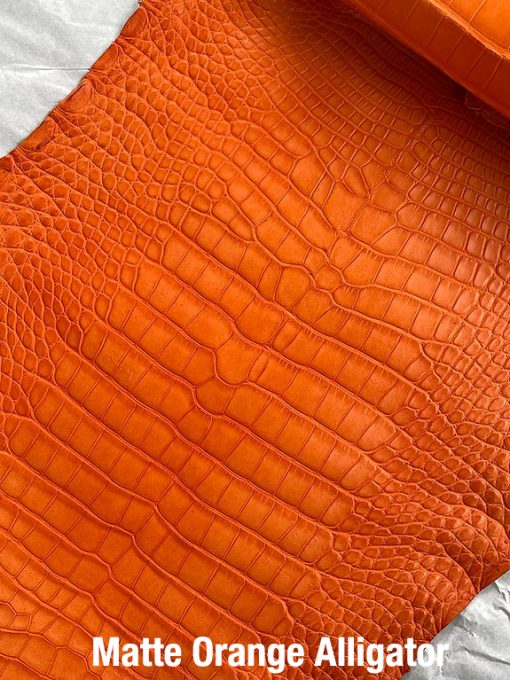 Matte Orange Alligator 2