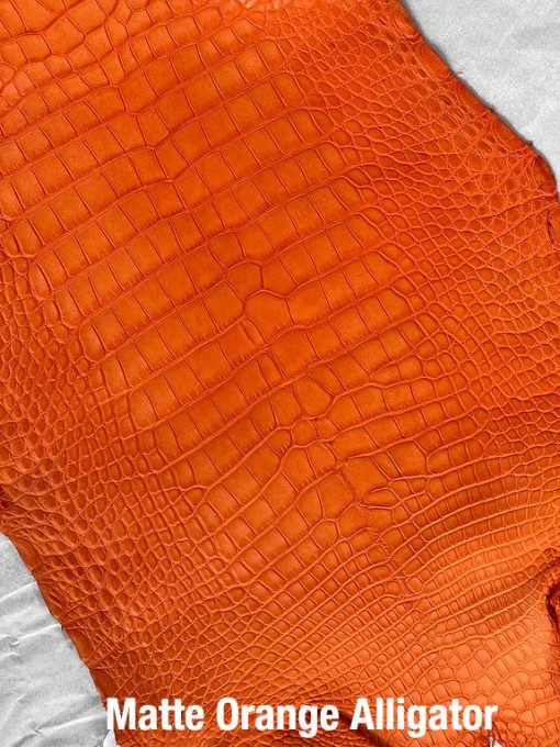 Matte Orange Alligator
