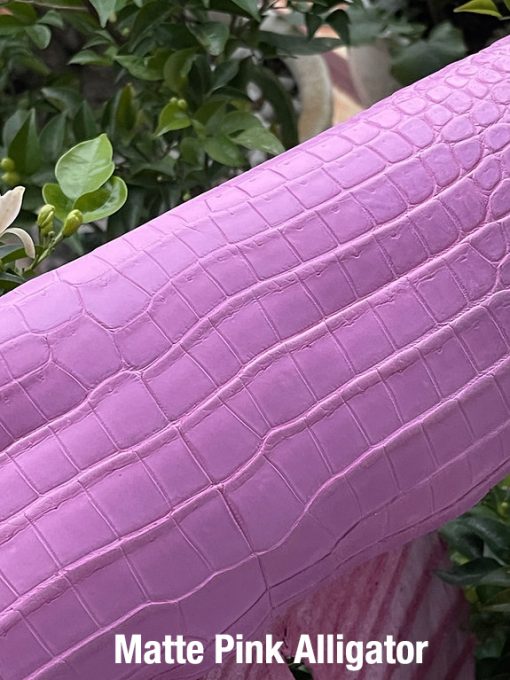 Matte Pink Alligator 1