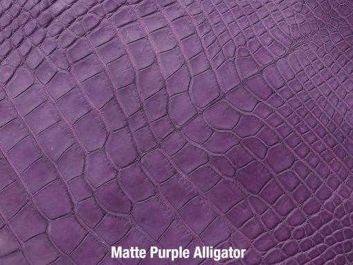 Matte Purple Alligator