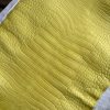 Matte Yellow Alligator 1