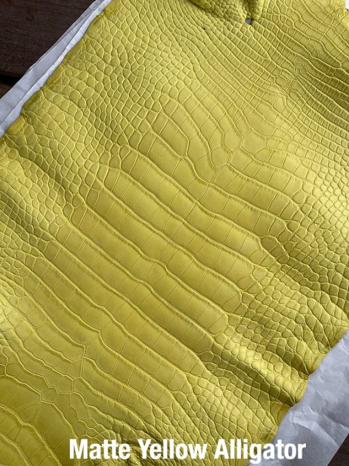 Matte Yellow Alligator 1