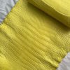 Matte Yellow Alligator