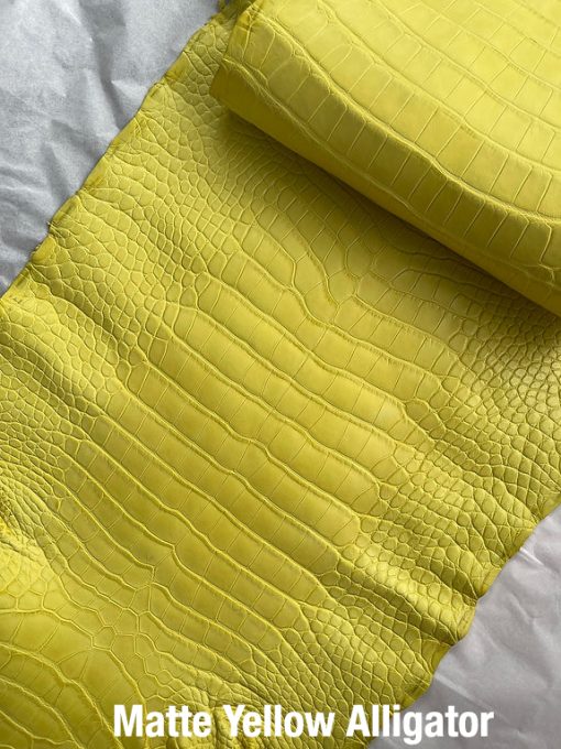 Matte Yellow Alligator 2